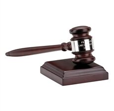 Auktion, lägg ett bud!